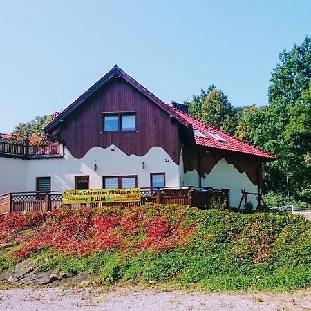 Szkolne Schronisko Mlodziezowe Plum Vandrarhem Piechowice  Exteriör bild